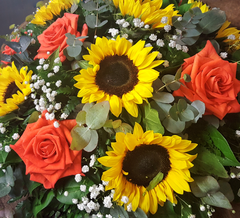 Orange County - HTB124