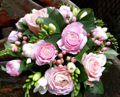 Cotton Candy Dreams - HTG4024