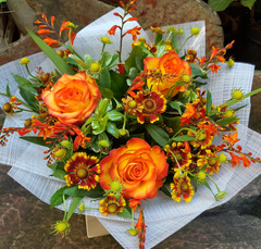 Flamed Affection - HTT610