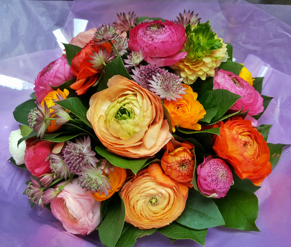 Colorful Ranunculus - HTM - Yeomans Flowers