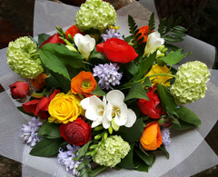 Colourful Lifestyles - HTM123